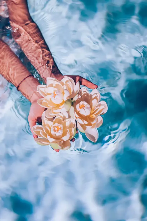 Hands Holding Lilies Representing Tools and Techniques Ola gathered throughout her journey